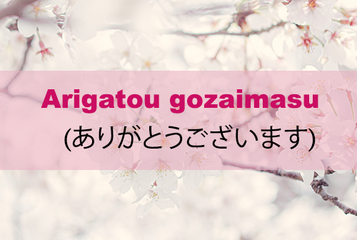 How to say Thank you in Japanese in Different ways - Blog